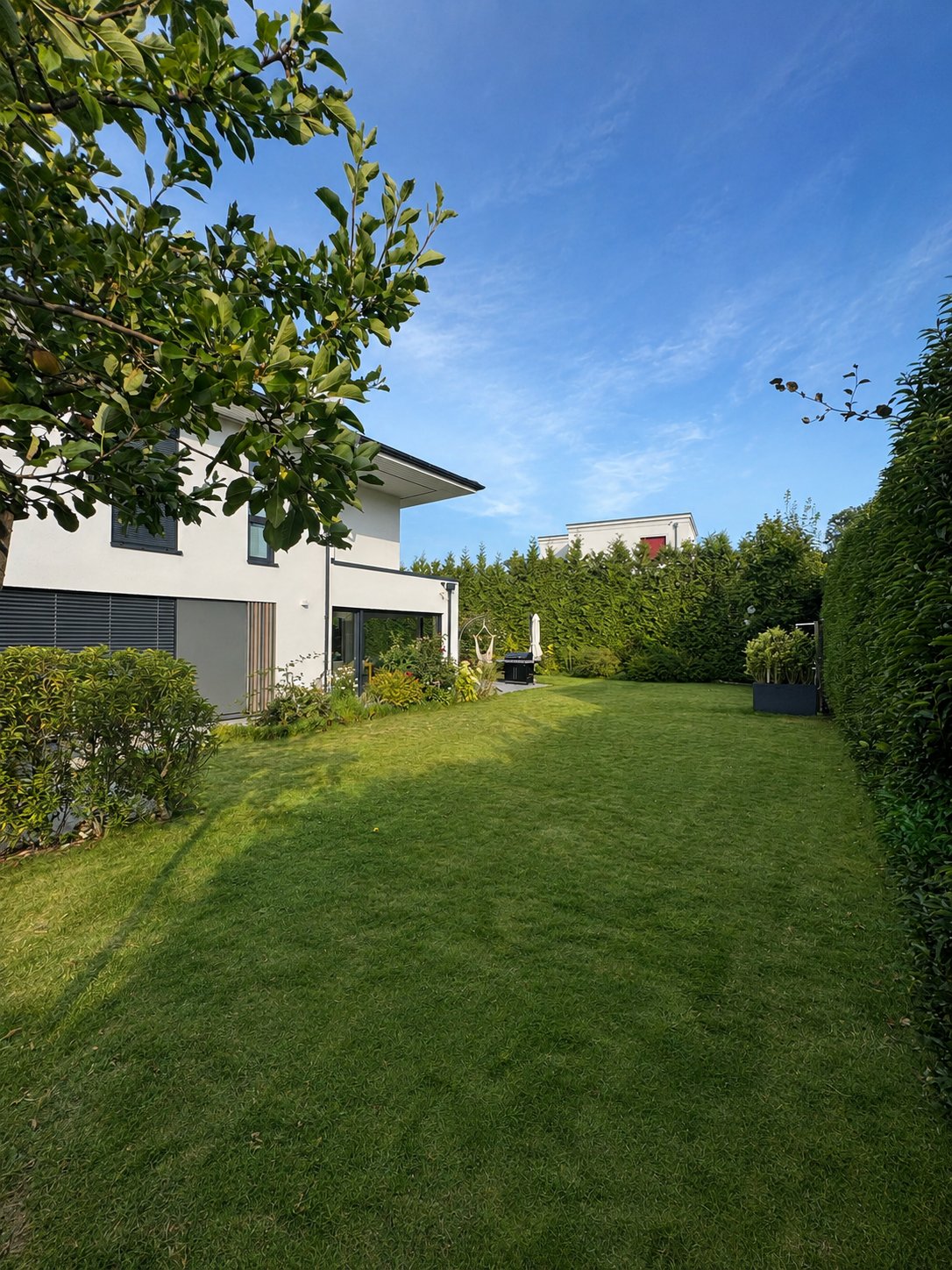 Rasenfläche entlang der Hecke mit Blick auf Haus und Terrasse