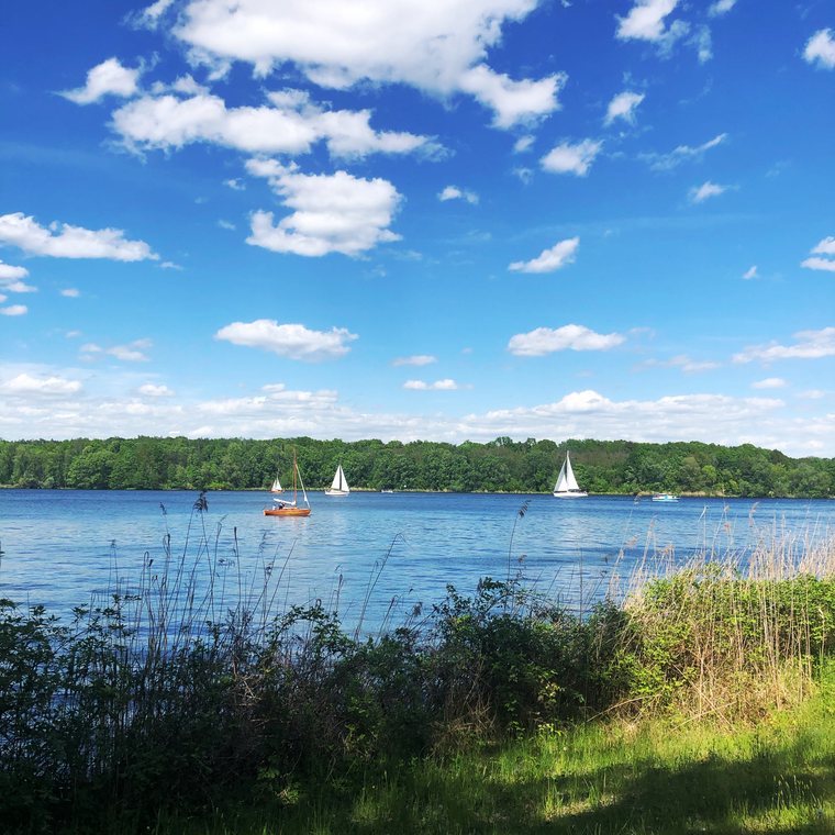Segler auf dem Jungfernsee